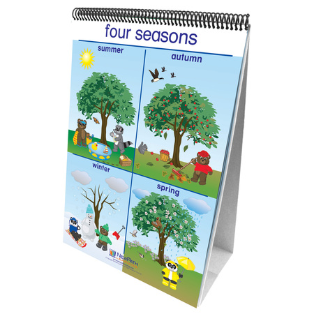 NEWPATH LEARNING Early Childhood Science Readiness Flip Charts, Weather + Sky 34-0024